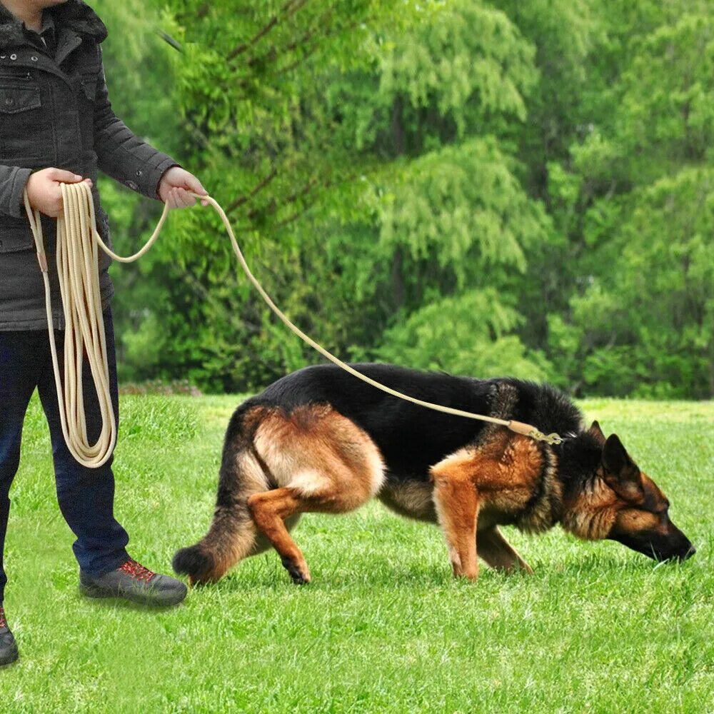 Ronda s dog is not long. Поводок для собак. Длинный поводок для собаки. Дрессировка собак. Поводок для немецкой овчарки.