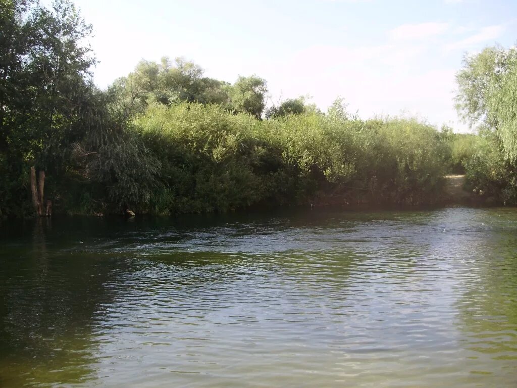 Село кумак оренбургская область. Кумак школа сайт. Погода кумак ясненский. Погода кумак ясненский. Малый кумак орск.