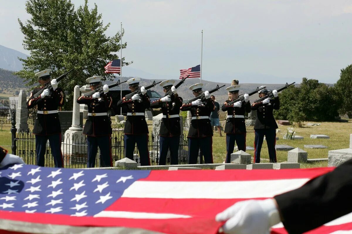 Добровольцы 2009. Добровольцы 2009. Добровольцы 2009. Добровольцы 2009. Taking chance (2009).