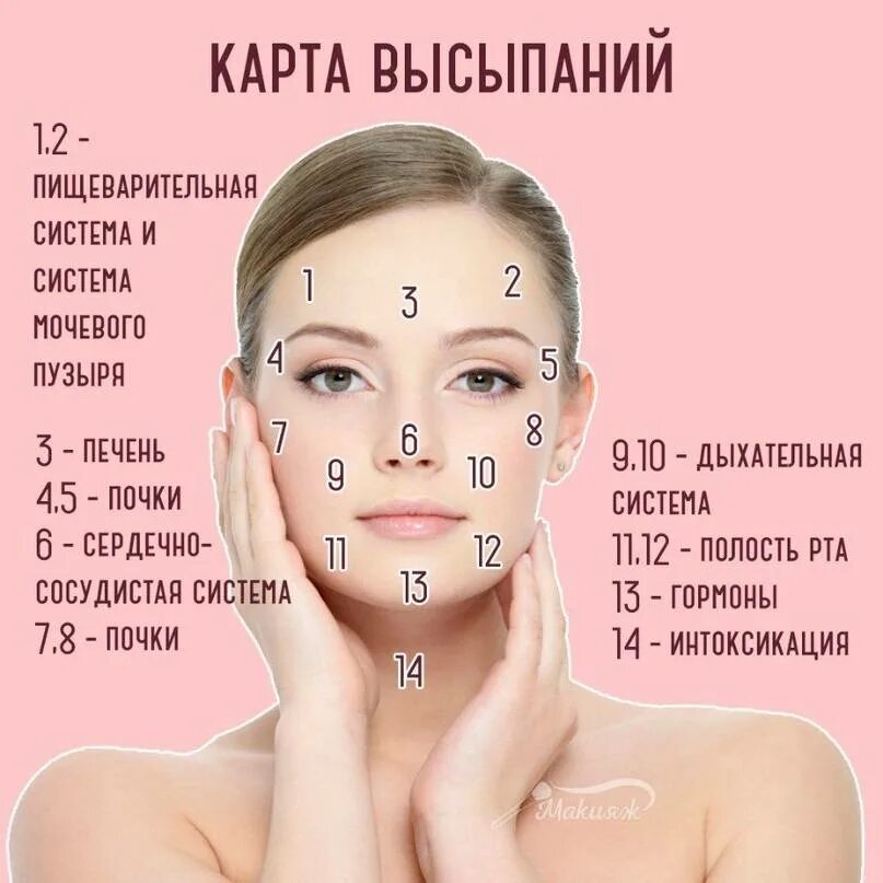 Сыпь на лице причины по зонам. Карта лица высыпания на лице у женщин. карта прыщей на лице у женщин. прыщи на лице по зонам. высыпания на лице по зонам у женщин.
