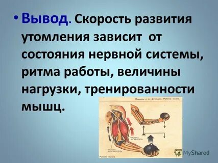 Какая работа более утомительна для мышц