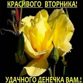 Открытки прекрасного вторника