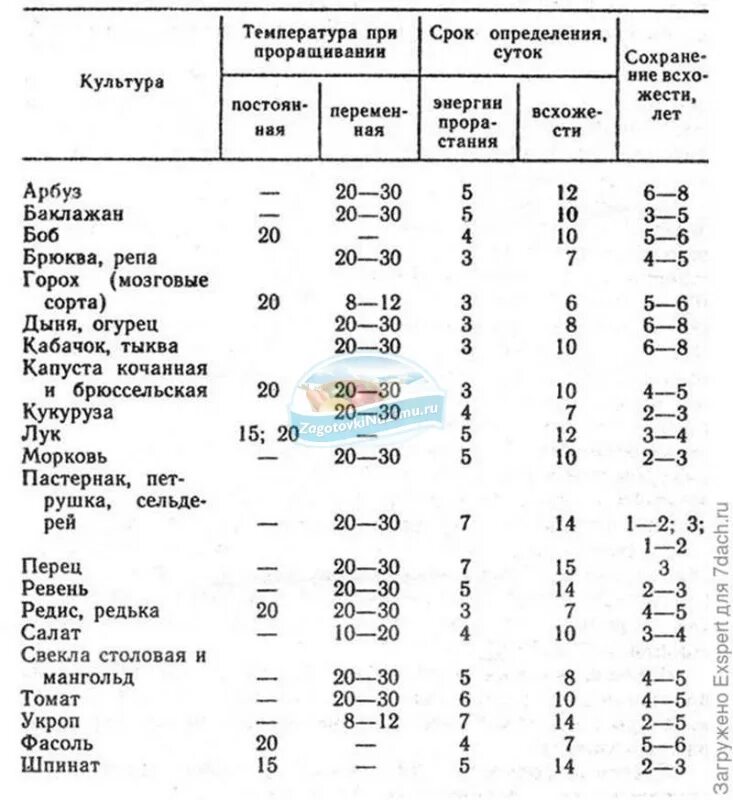 Через сколько проклевываются
