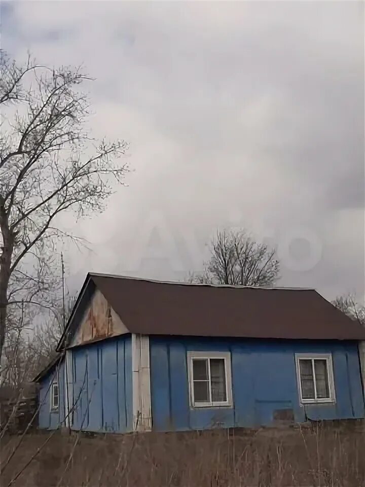 Погода сосновка горшеченский. Рыбалка в сомовка. Курская область село сосновка. Погода сосновка горшеченский. Курская область село сосновка.