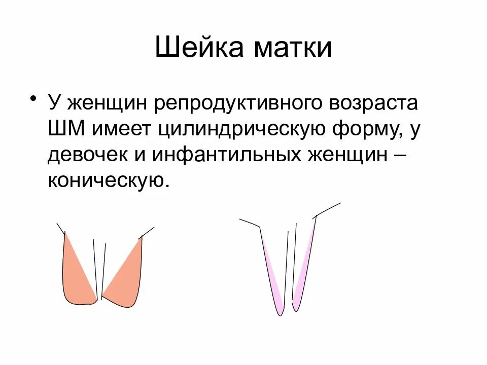 Абсде - CoffeePapa.ru