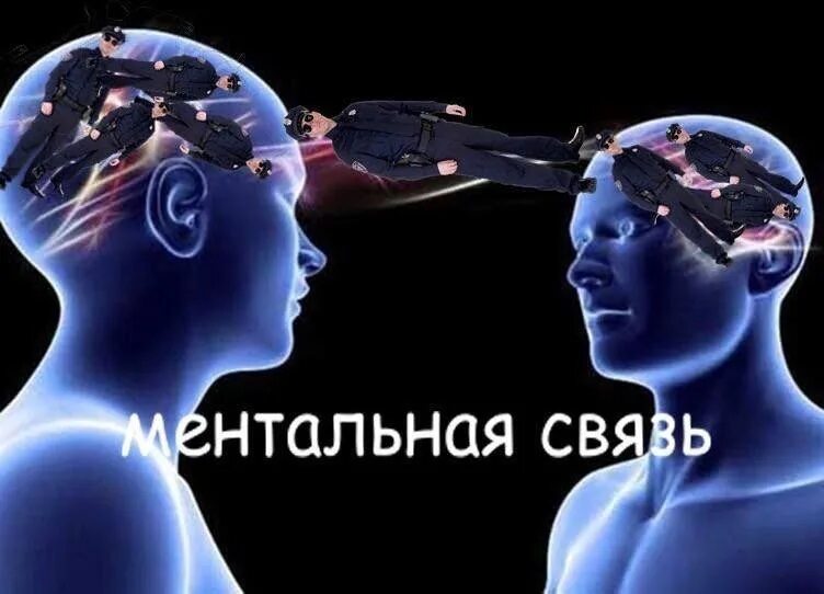 Ментальная связь. Ментальная связь Мем. Ментальная связь мемы. Синдалтная связь.