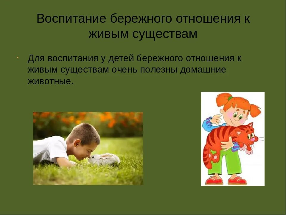 Что относится к воспитанию ребенка. Воспитывать бережное отношение к природе. Воспитание любви и бережного отношения к природе. Бережное отношение к природе для детей. Формирование бережного отношения к природе у детей.