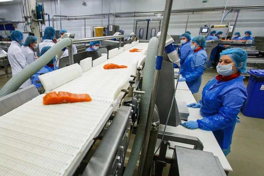 Колпаковский рыбокомбинат камчатка. Работа рыбное вакансии. Рыбный цех. Рыбозавод скит камчатка. Усть камчатский рыбозавод.