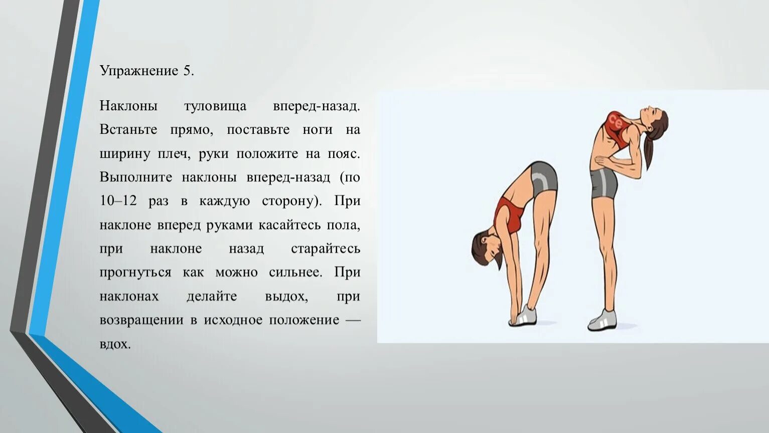 Стороны туловища. Наклоны туловища вперед назад. Упражнение наклоны туловища. Упражнение наклоны туловища вперед. Наклоны корпуса упражнение техника.