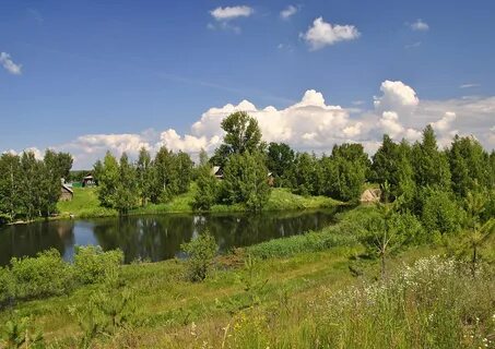 Родное село