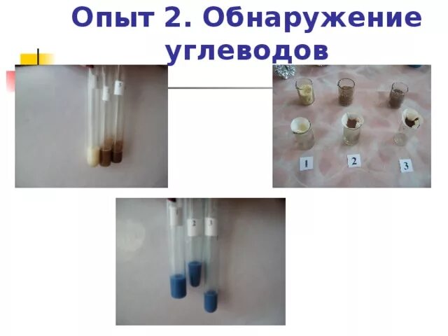Обнаружение углеводов с помощью качественной реакции лабораторная. Опыты с шоколадом. обнаружение углеводов в шоколаде опыты. опыты с шоколадом химия. обнаружение сахарозы в шоколаде.