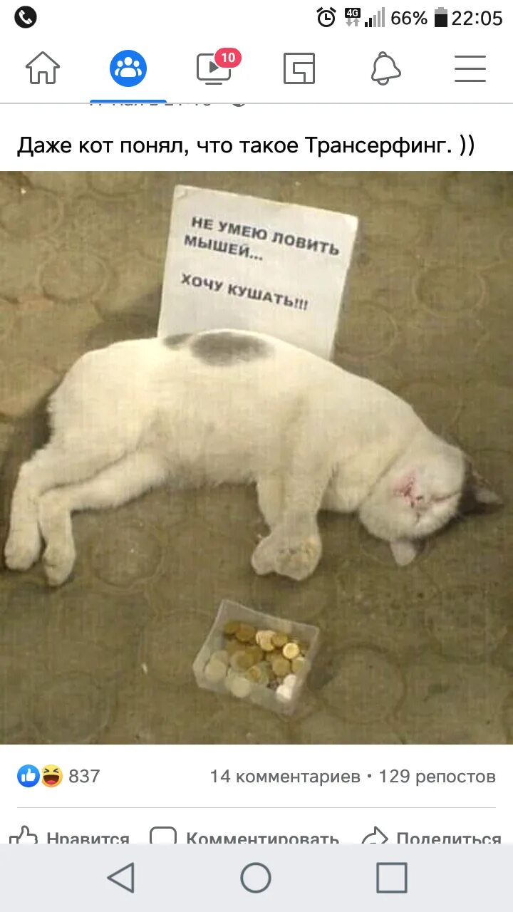 Кушать хочется. Хочу жрать. Насыщение пищей. Нужен корм щенкам. Картинка я хочу кушать.