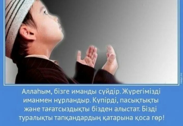 Перевод иманды болсын с казахского на русский. Иманды болсын что означает. Иманды болсын перевод с казахского. Иманды. Мистер казахстан 2016 ерасыл.