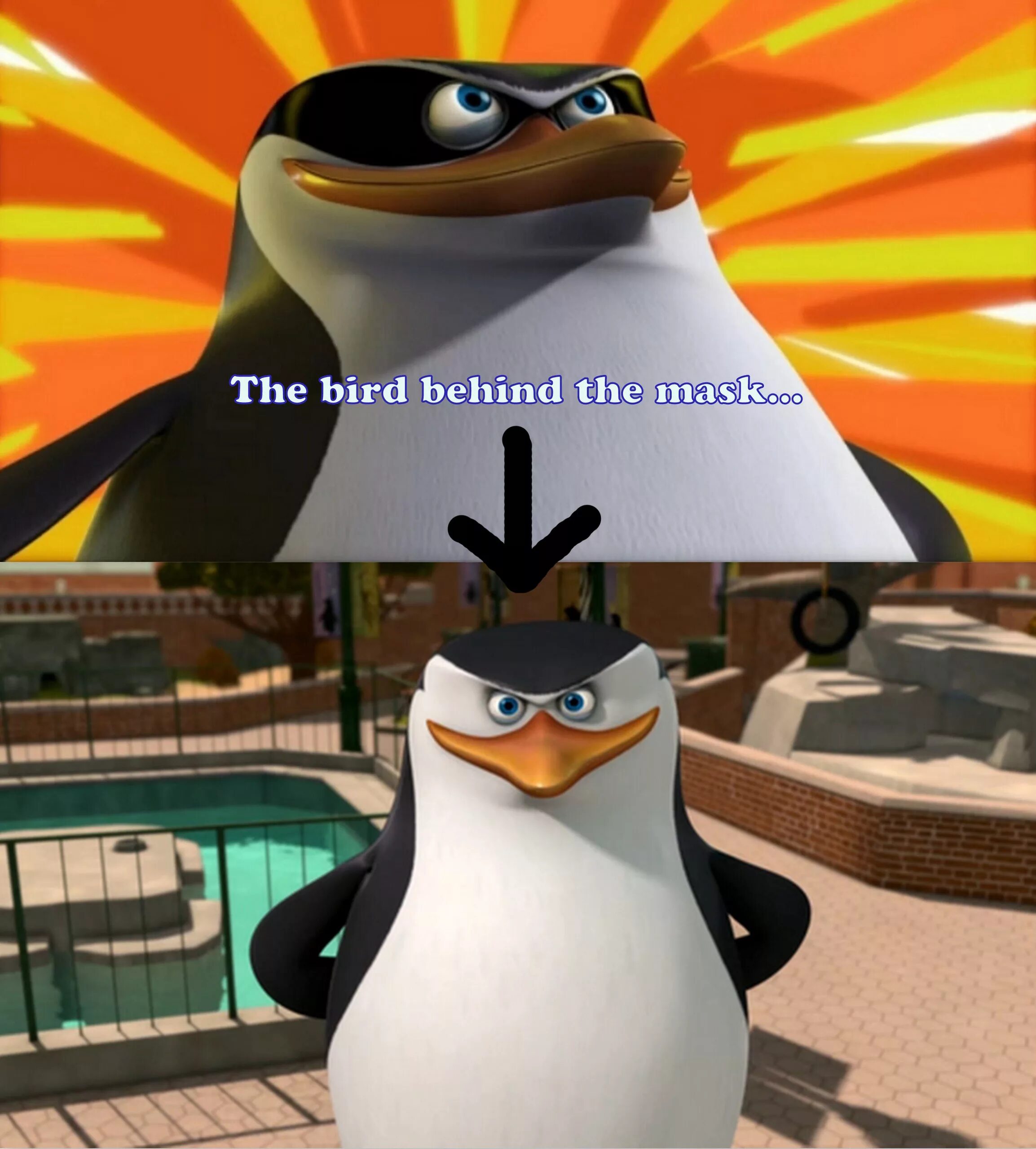 Пингвины мадагаскара шкипер 2014. Шкипер пингвин. Картинки пингвинов из мадагаскара мем. Пингвин из мультика мадагаскар. Шкипер и ковальски.