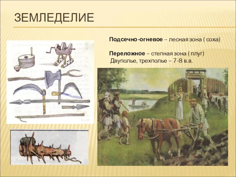 Система земледелия называется