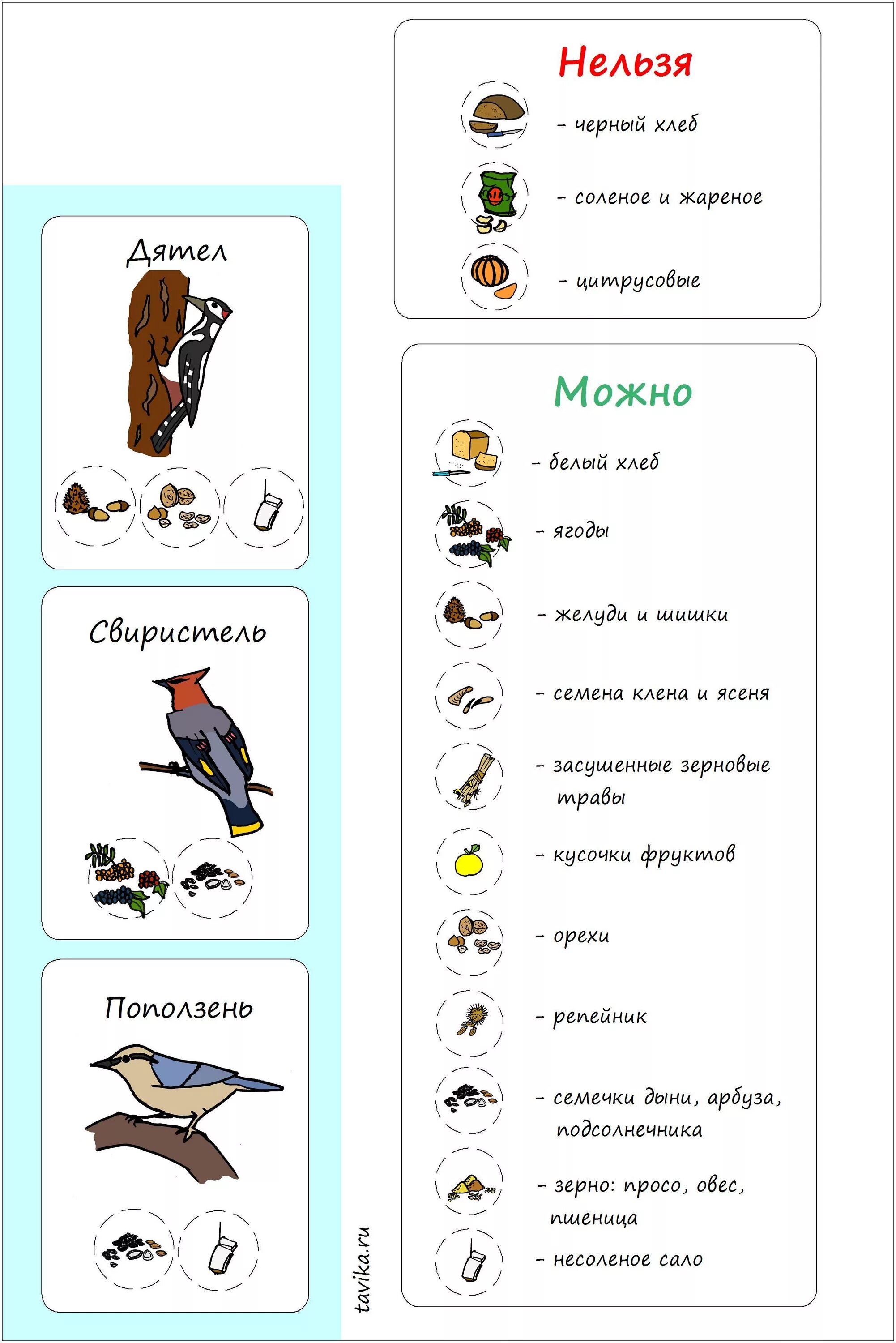 Bird menu