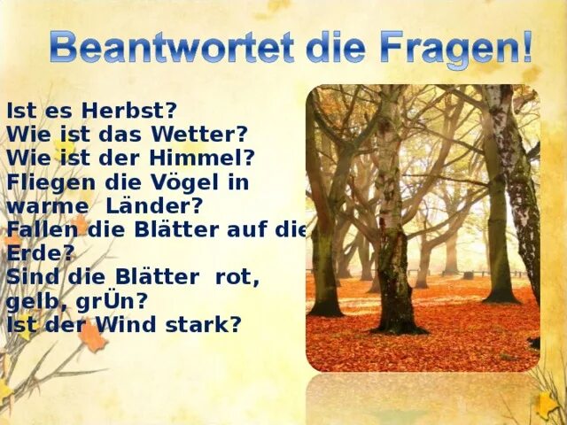 Manchmal ist der herbst schon с транскрипцией. Немецкий язык иллюстрация. Wie ist das wetter im herbst. Упражнения по теме wetter. Рабочий лист das wetter.