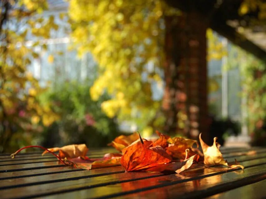 Осенняя теплая осень. Тёплая осень. Осеннее настроение вечер. Осеннее утро. Осенняя нежность.