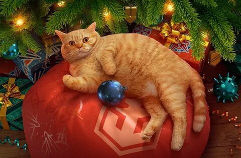 Кот ворлд
