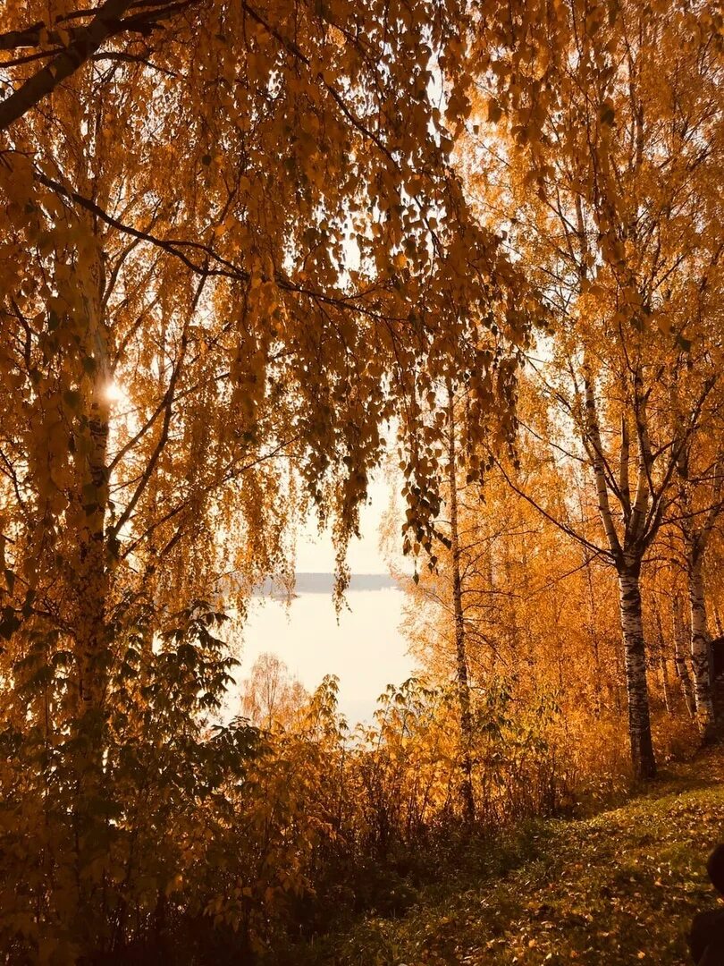 Золотая осень киров. Золотая осень киров. Кирово-чепецк природа. Красивые места кирова осень. Осенний пейзаж кирово-чепецк.