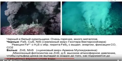 Курил бел