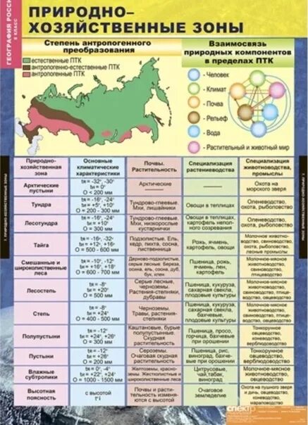 Территориальное сочетание природных. Характеристика природно-хозяйственных зон России таблица 8. Природно хозяйственные зоны России таблица. Таблица по географии по природным зонам России 8 класс. Таблица характеристика природных зон России география 8 класс.