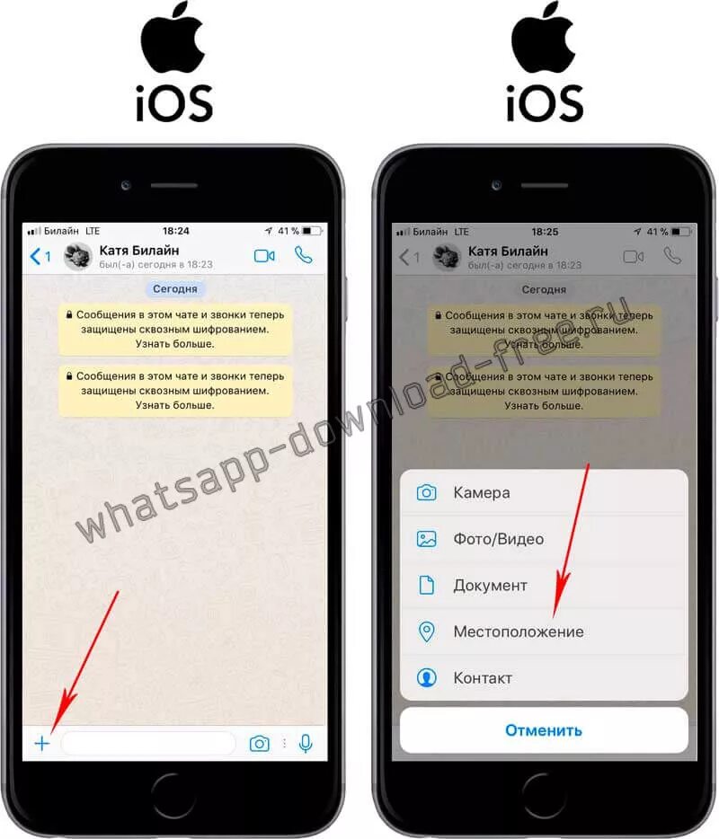 Местоположение в ватсапе с айфона. Поделиться геолокацией в ватсапе на айфоне. Скинуть геолокацию в ватсап на айфоне. Заметки ватсап на айфоне. Отправить документы по ватсапу