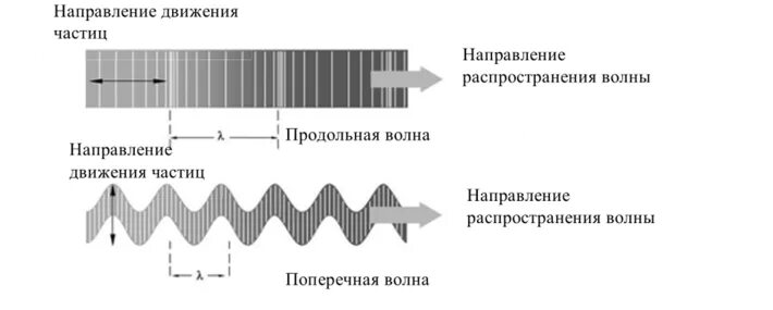 Направление в котором распространяется волна. Поперечная волна и продольная волна. Продольные и поперечные волны. Продольные и поперечные волны рисунок. Продольные звуковые волны.