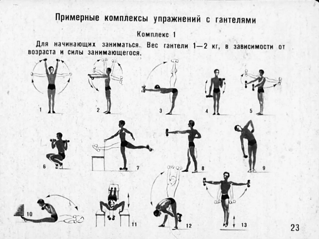 Атлетическая гимнастика комплекс упражнений для начинающих. Комплекс упражнений с гантелями для детей 12 лет. Комплекс упражнений с гимнастической гантелей. Атлетическая гимнастика комплекс упражнений с гантелями для мужчин.