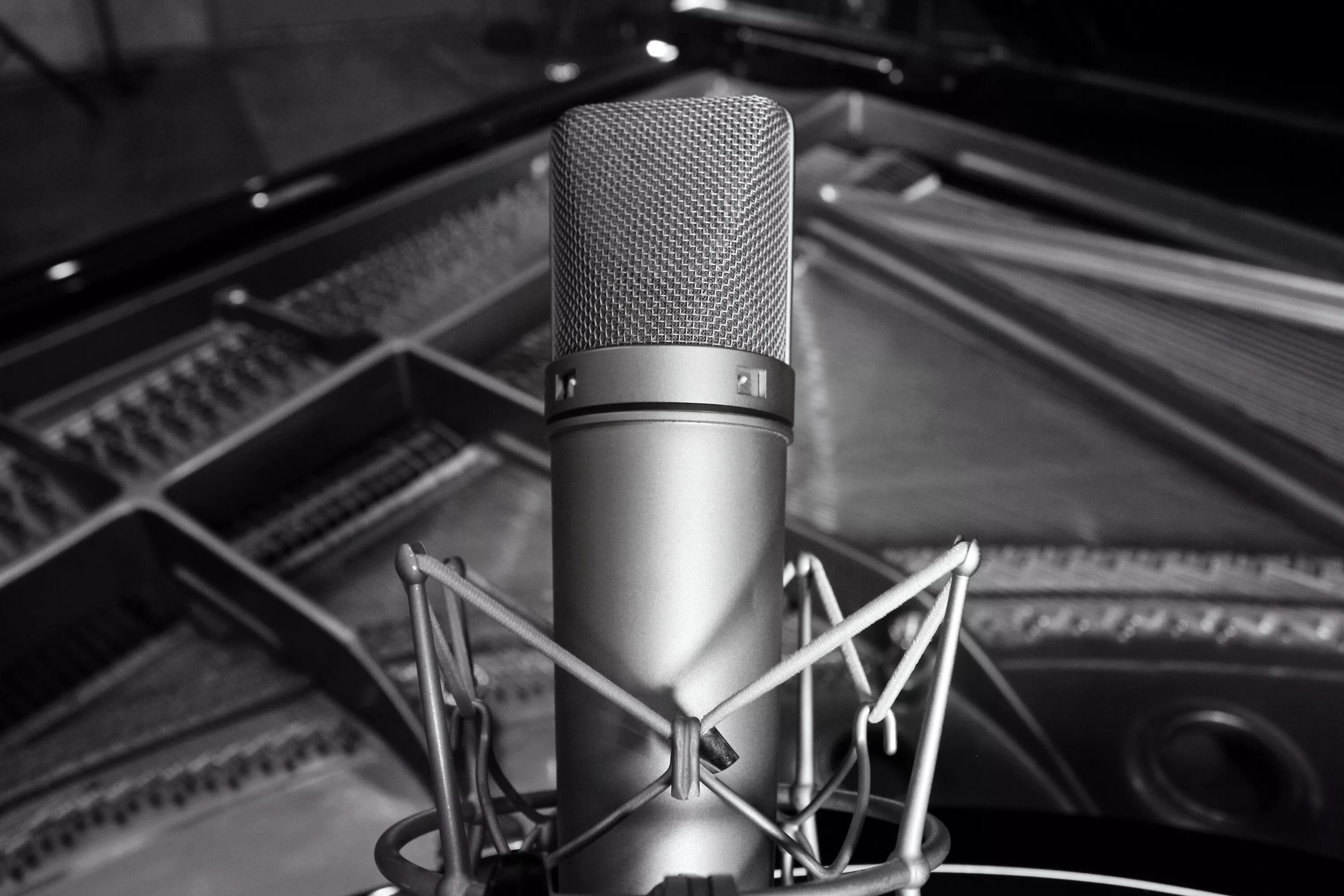 Микрофон слот. Neumann u87. микрофон нойман 87. конденсаторный микрофон u87. neumann u87 black.
