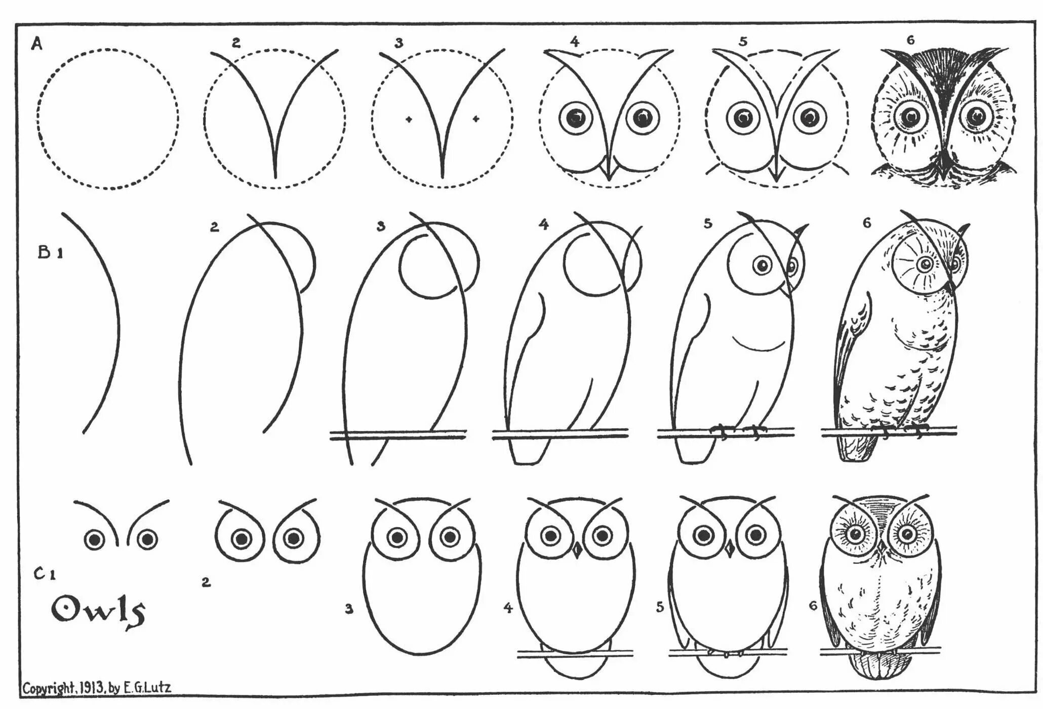 Сова рисунок. Как нарисовать сову. Легкие рисунки. Рисунки для срисовки лёгкие. Схемы рисования поэтапно