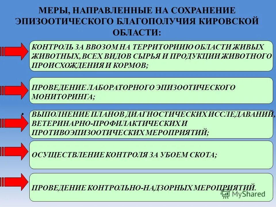 Эпизоотическое благополучие. Обеспечения эпизоотического благополучия. Справка об эпизоотическом благополучии. Эпизоотический мониторинг. План описания эпизоотической.