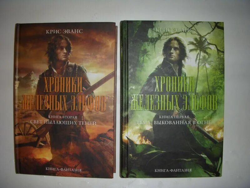 Хроники дождевых. Охотники за пламенем книга. хроники железных эльфов. хроники дождевых чащоб арты. жители дождевых чащоб.