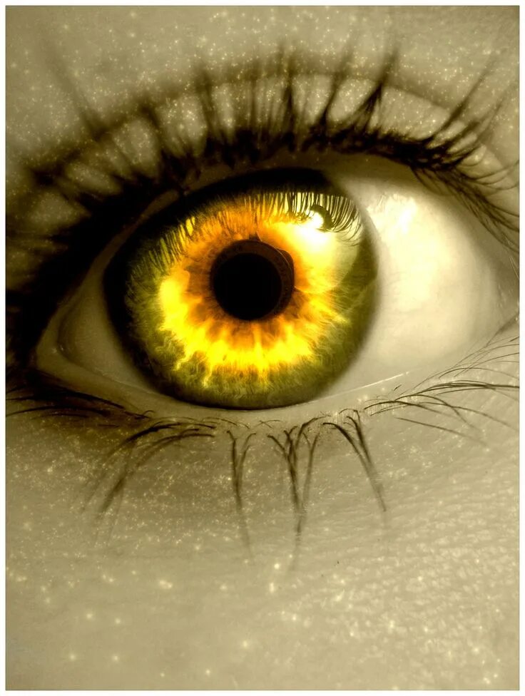 Golden Eye - YouTube