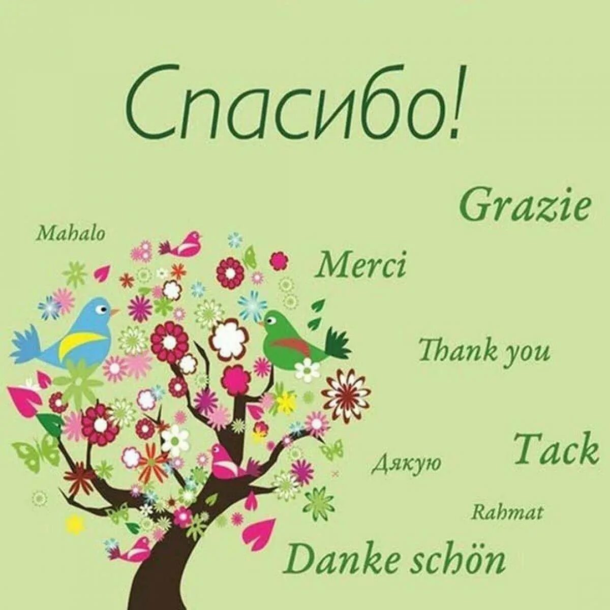 Спасибо какого года. День спасибо. креативные открытки спасибо. 11 января день спасибо. стильная открытка спасибо.