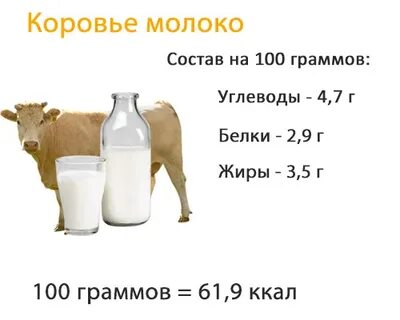 Молоко белки в 100 г
