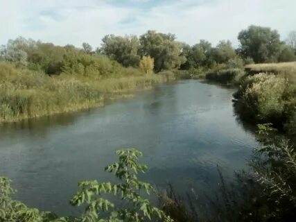 Погода на завтра красный яр