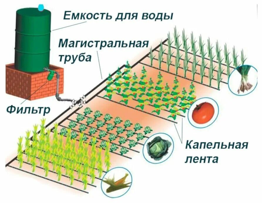 Что значит капельная система. Капельный полив МАСТЕРПРОФ лента. Система капельного полива Masterprof. Схема сборки системы капельного полива. Комплект для капельного полива Masterprof для огурцов.