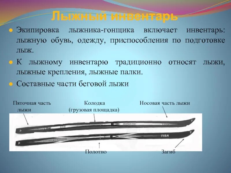 Полозья предложение. Как называются части лыж. Лыжи части лыж. Составные части лыжи. Элементы конструкции лыж.