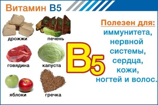 Пантотеновая кислота в5 источники. Витамин в5 где содержится. Витамин b5 пантотеновая кислота. Пантотеновая кислота (витамин b5) в продуктах.