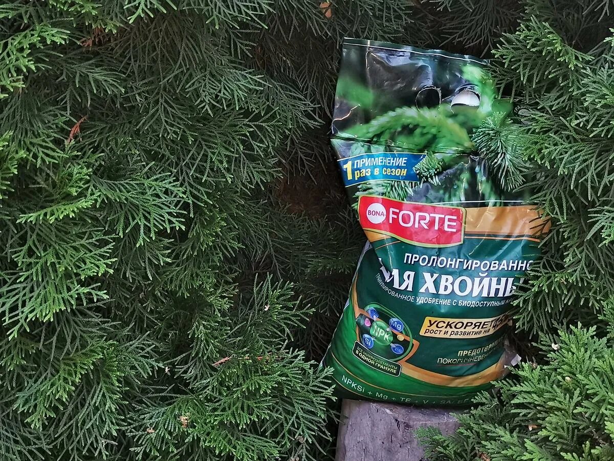 Forte осенние для хвойных. Форте для хвойных. ому для хвойных. bona forte для хвойных. бона форте пролонгированное удобрение.
