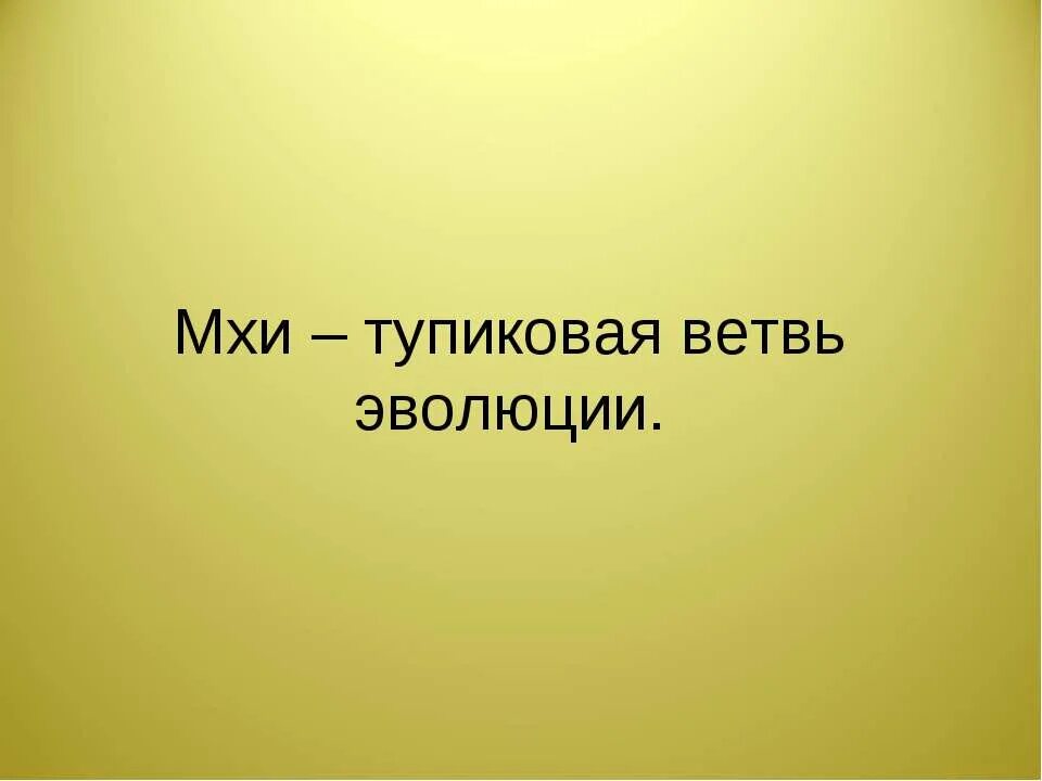 Почему мхи тупиковая ветвь. Тупиковая ветвь эволюции растений. Тупиковая ветвь эволюции растений. Какие растения самые примитивные. Тупиковая ветвь эволюции растений.