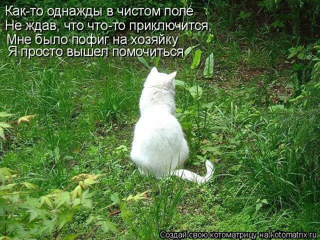 Однажды я как то замешкался в поле