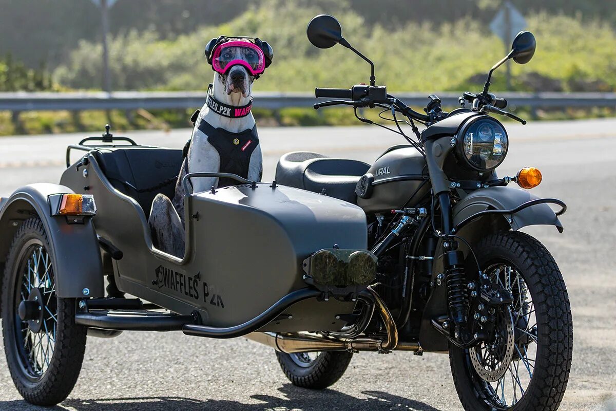 Мотоцикл с коляской sidecar. Триумф рокет 3 с коляской. Sidecar мотоциклы. Sidecar. Sidecar.
