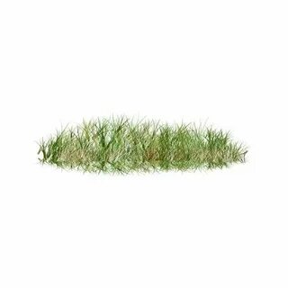 Grass like
