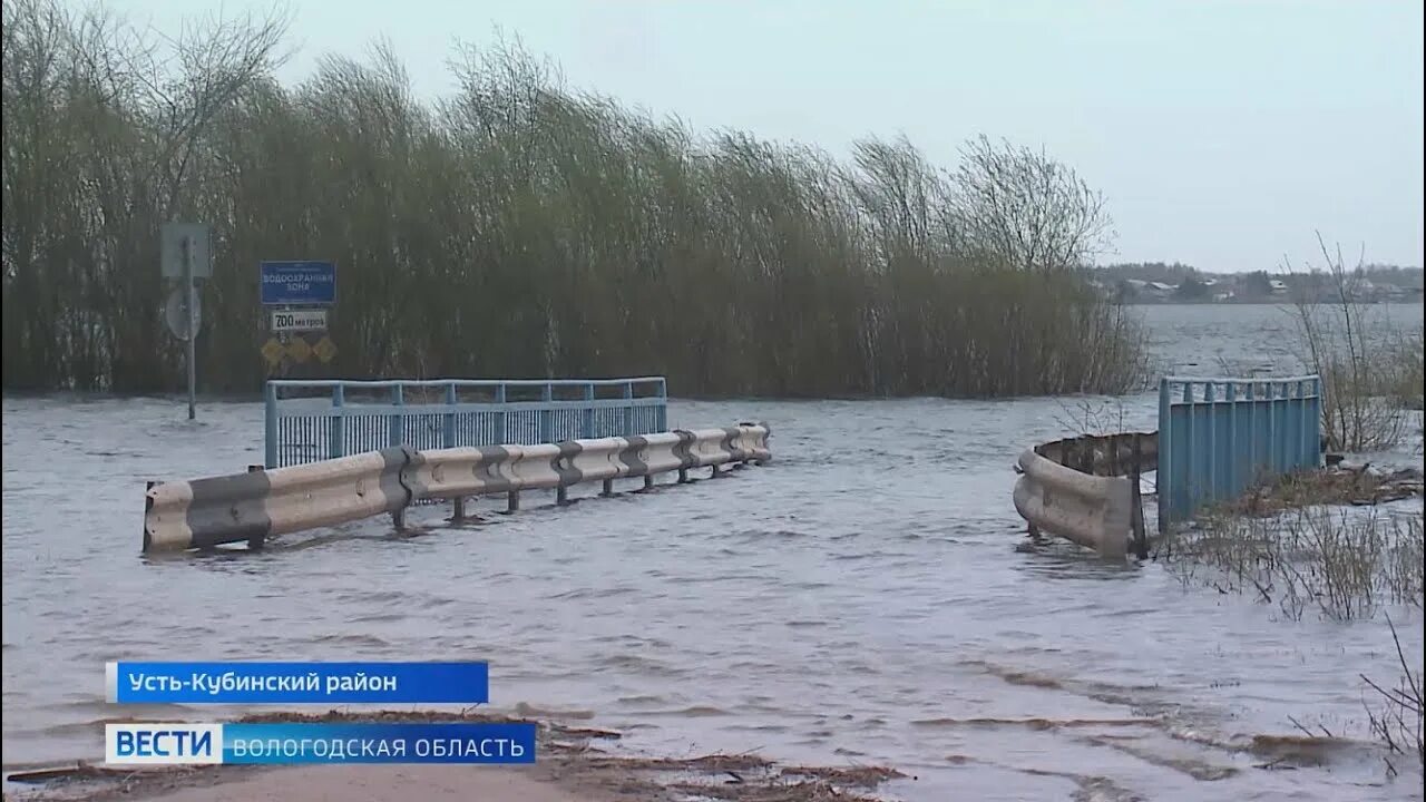 Половодье река Кубена. Паводок Усть-кубинский. Уровень воды. Весенний паводок на реке Кубена Вологодская область. В течении весеннего половодья уровень воды