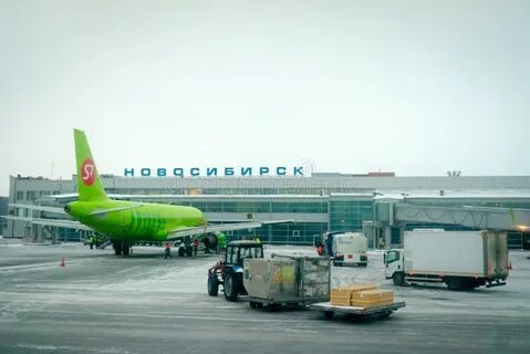 Новосибирск тбилиси авиабилеты прямой