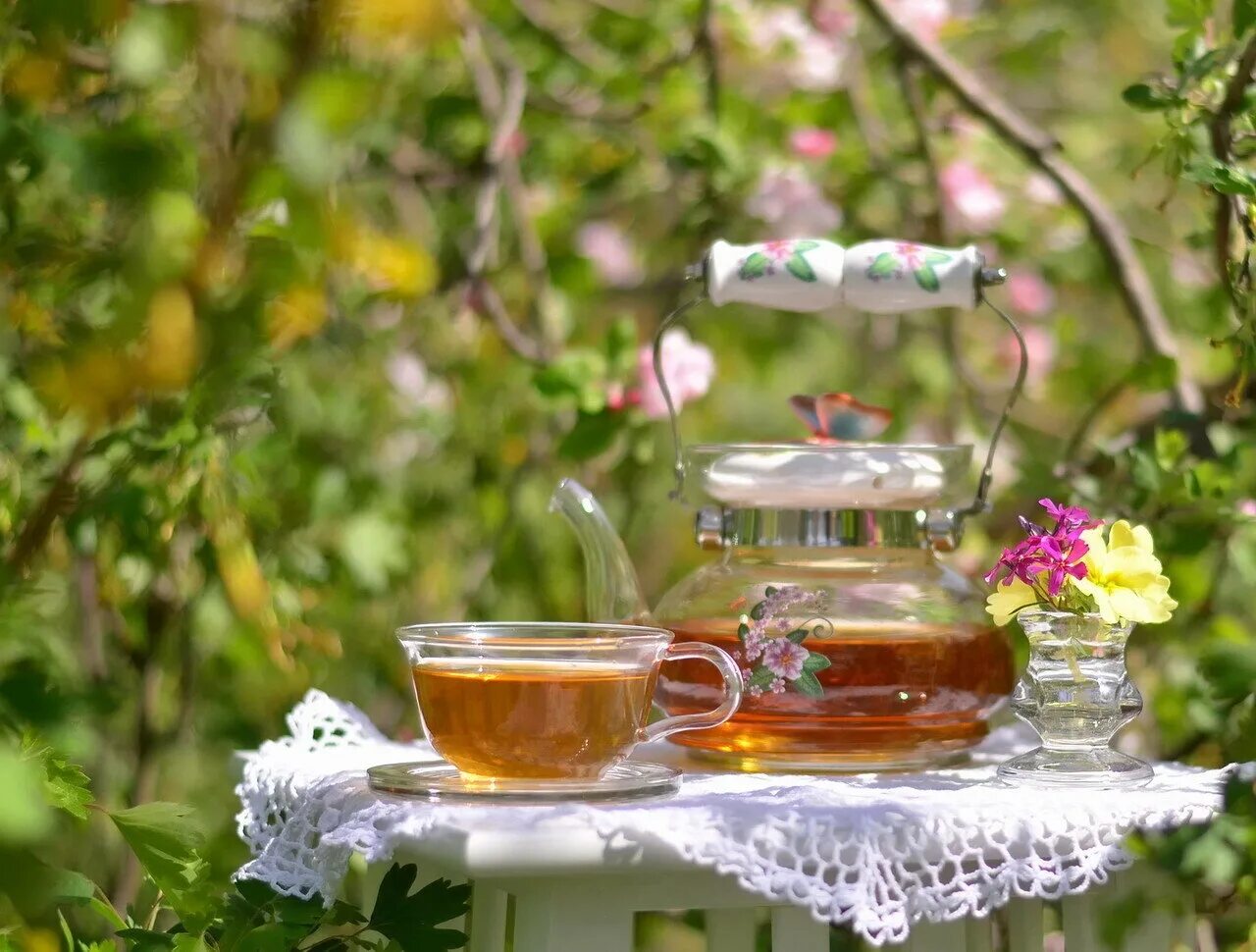 Доброе утро хорошего дня чаи. Чай на природе. Чаепитие в весеннем саду. Чай в саду. Чаепитие на природе.