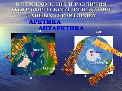арктика и антарктика в чем разница