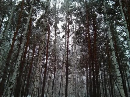 Подгородка омск